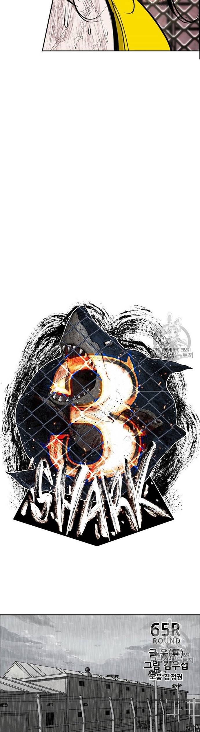 Shark