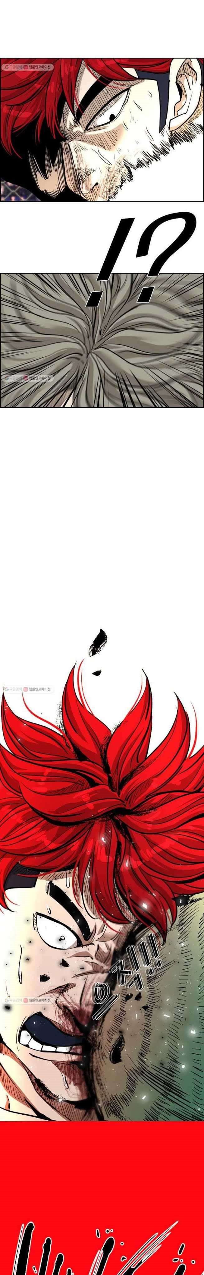 Shark