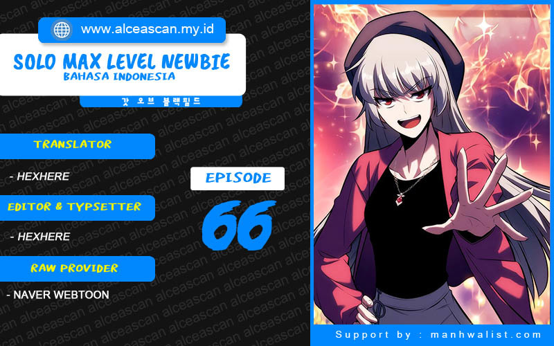 Solo Max-Level Newbie