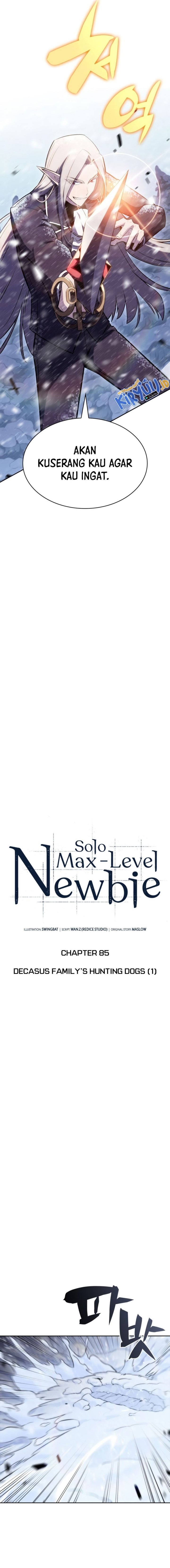Solo Max-Level Newbie