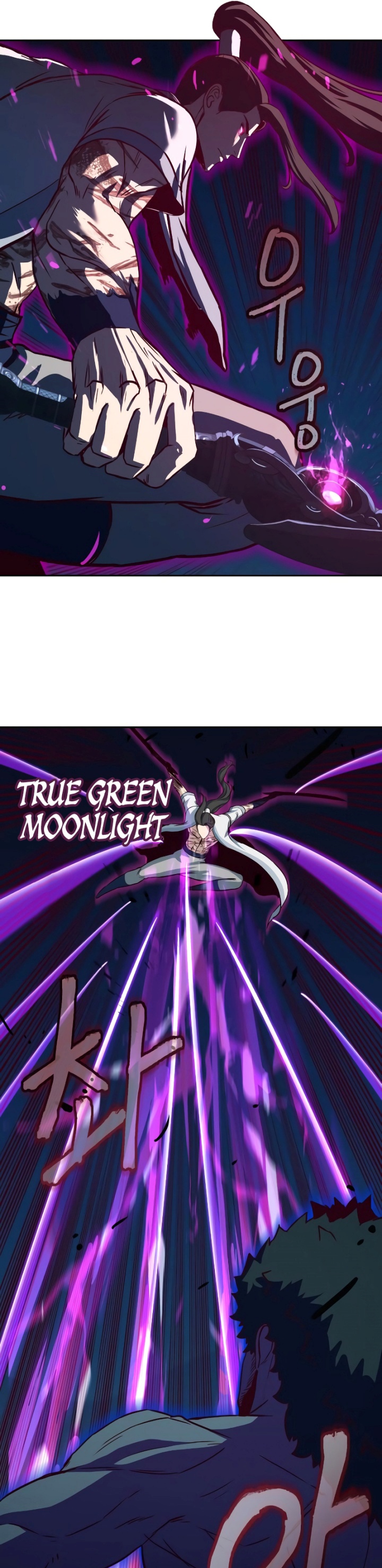 Sword Fanatic Wanders Through The Night