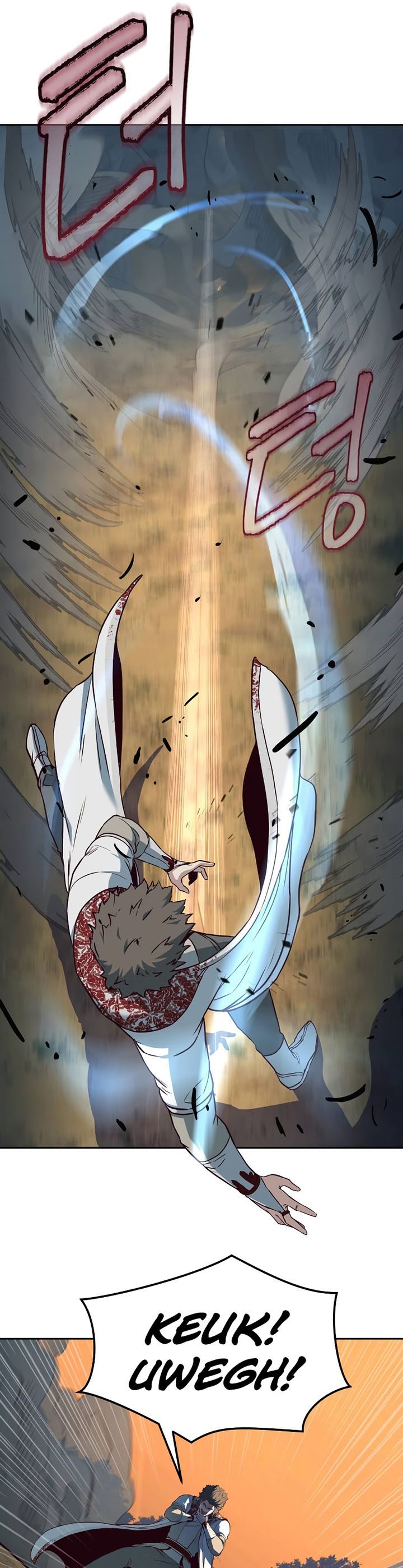 Sword Fanatic Wanders Through The Night