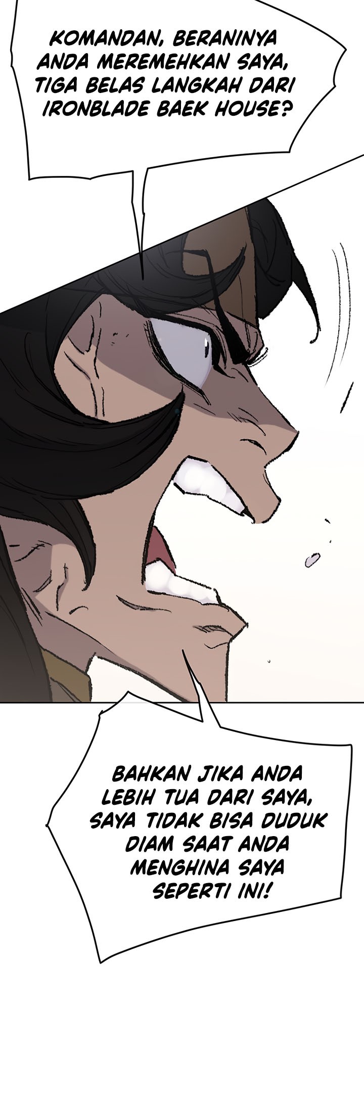 The Undefeatable Swordsman