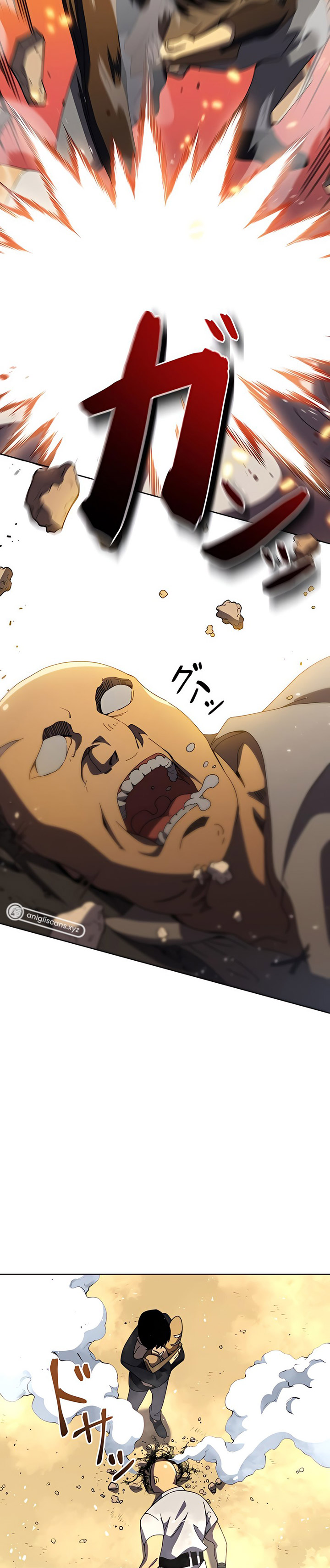 The Survivor of the Saviors