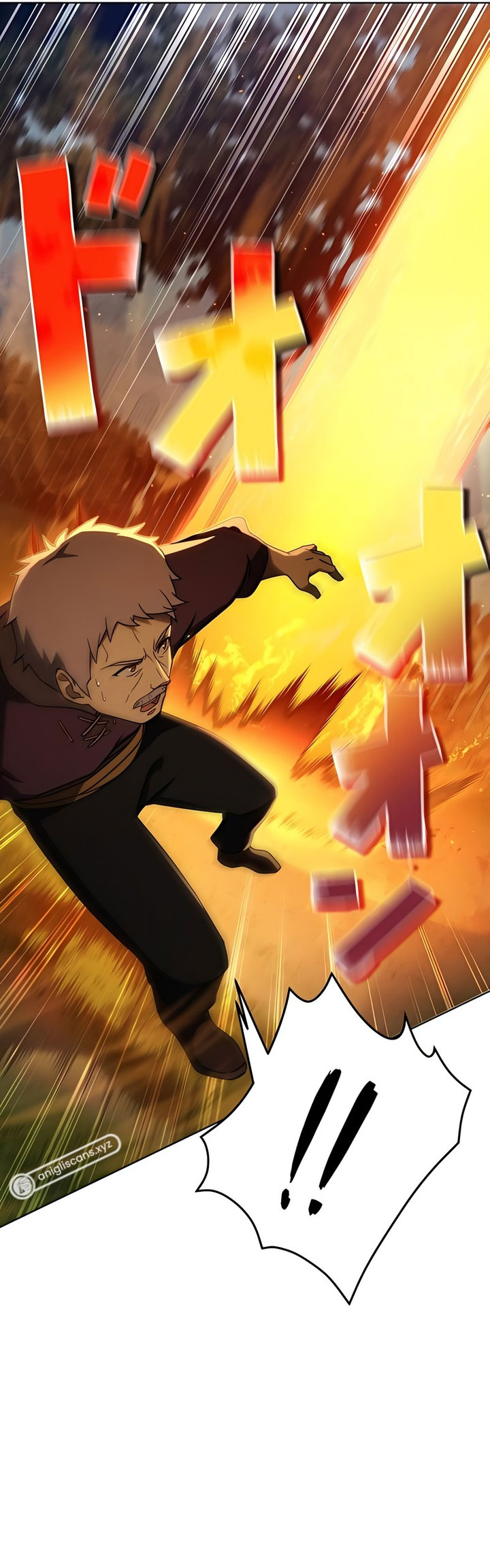 The Survivor of the Saviors