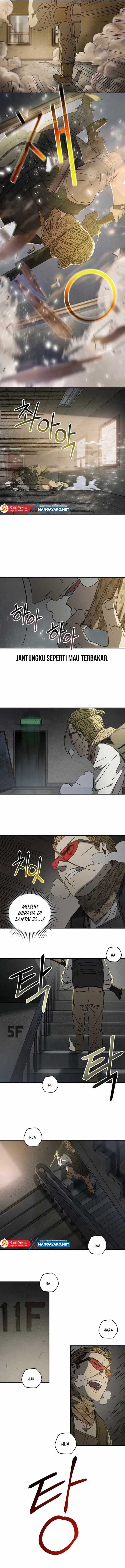 The Way Of Survival