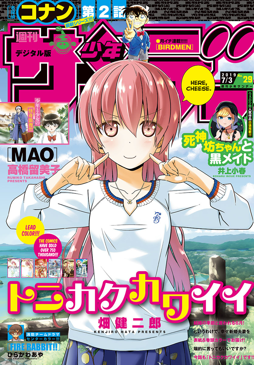 Tonikaku Kawaii