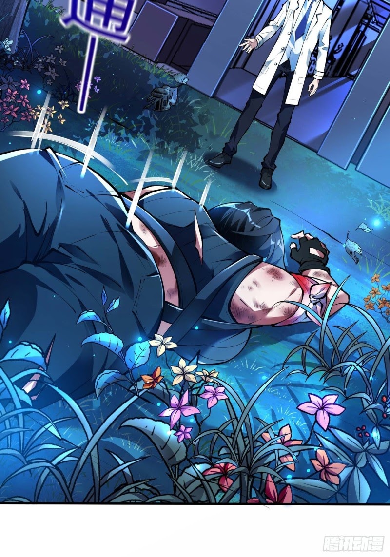 Useless First Son-In-Law (Magnificent Cohabiting Son-In-Law)