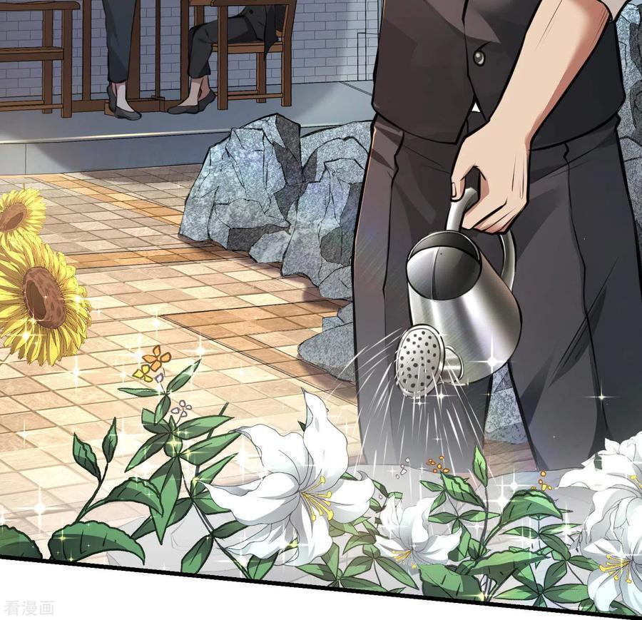 Useless First Son-In-Law (Magnificent Cohabiting Son-In-Law)