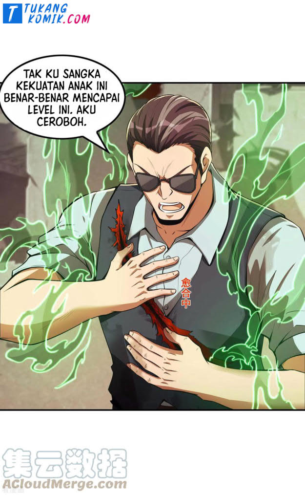 Useless First Son-In-Law (Magnificent Cohabiting Son-In-Law)