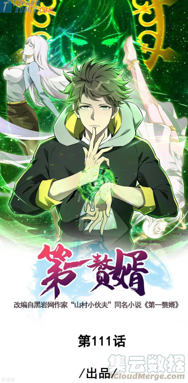 Useless First Son-In-Law (Magnificent Cohabiting Son-In-Law)