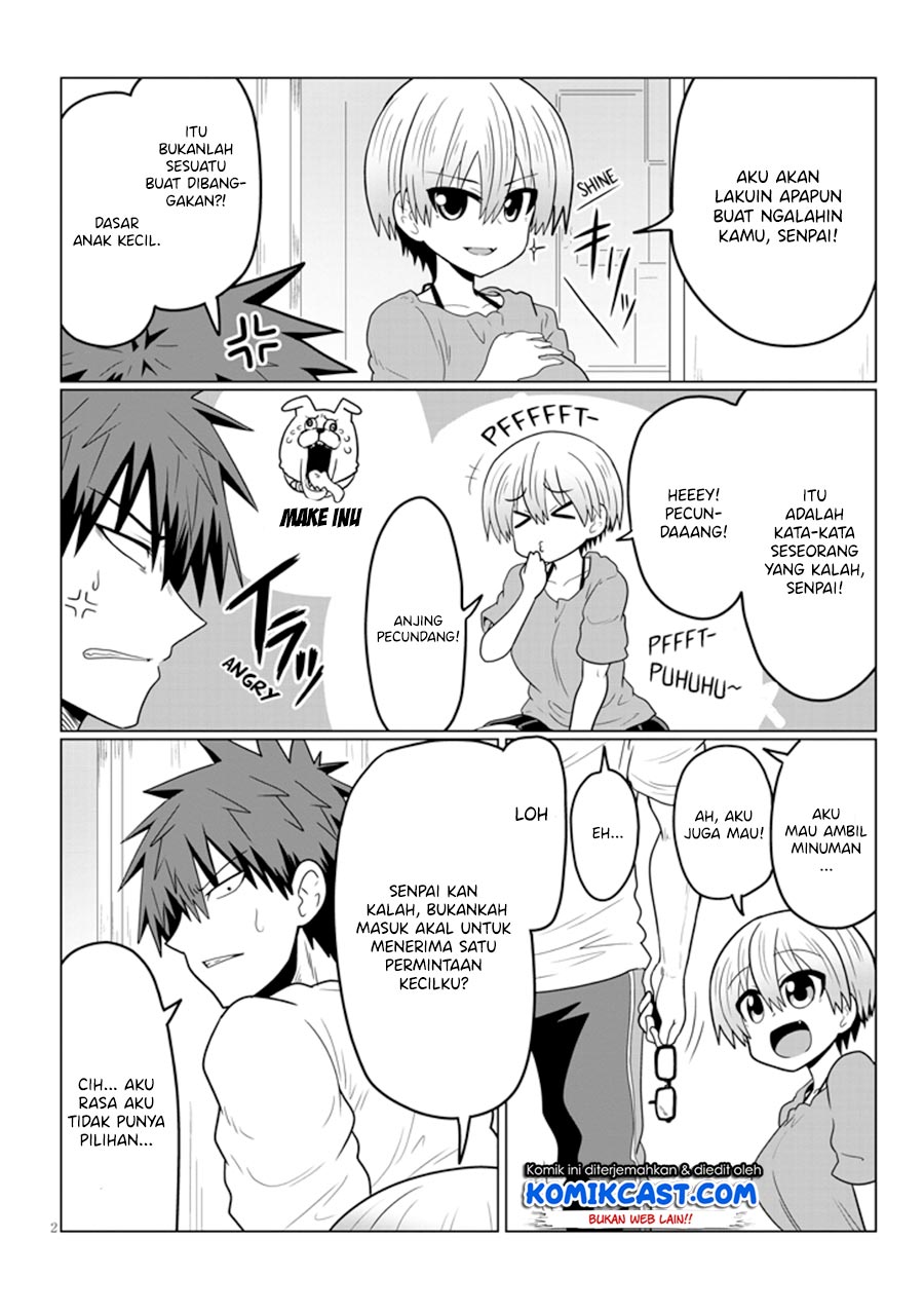 Uzaki-chan wa Asobitai!