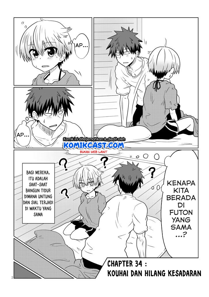 Uzaki-chan wa Asobitai!