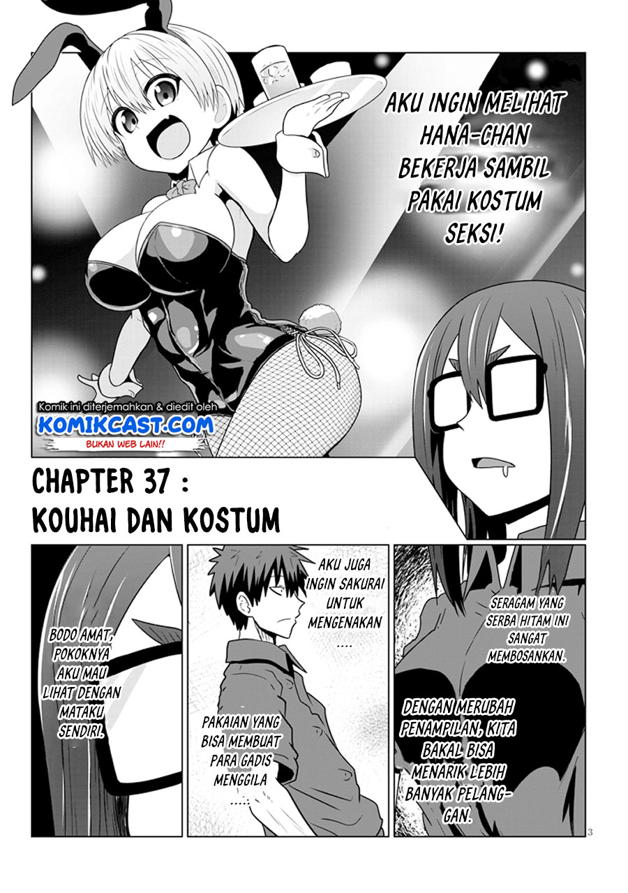 Uzaki-chan wa Asobitai!