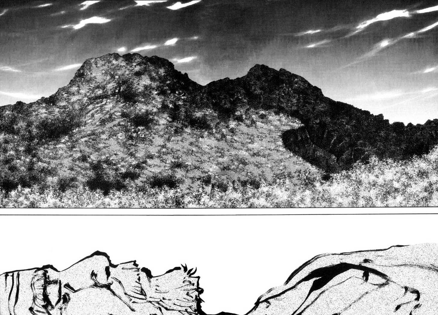 Vagabond