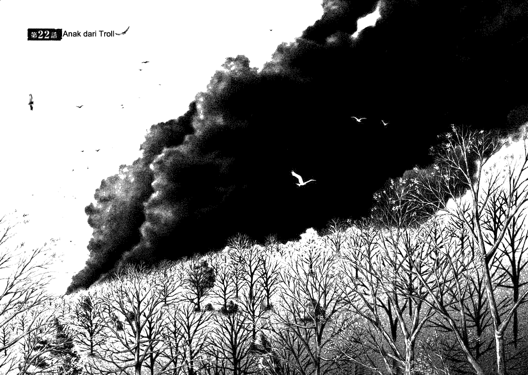 Vinland Saga