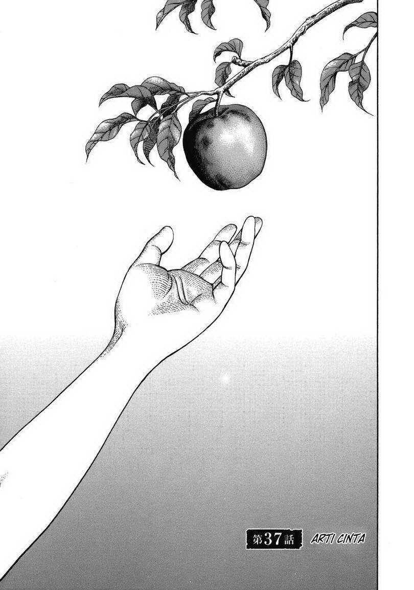 Vinland Saga
