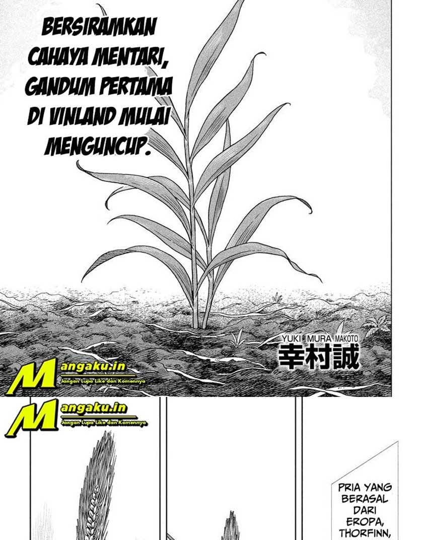 Vinland Saga