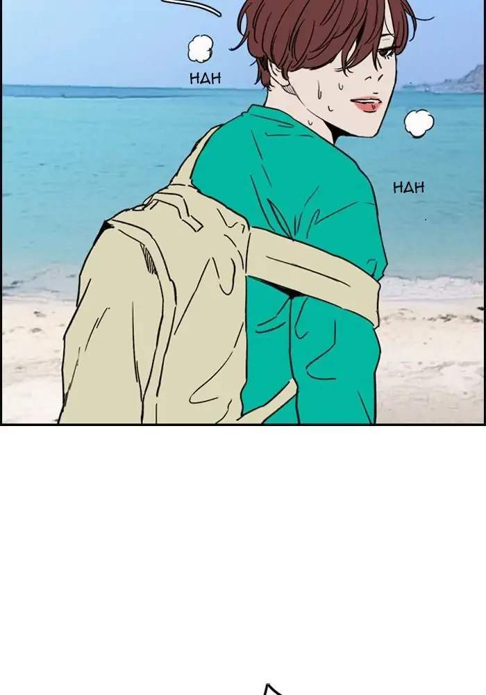 Wind Breaker