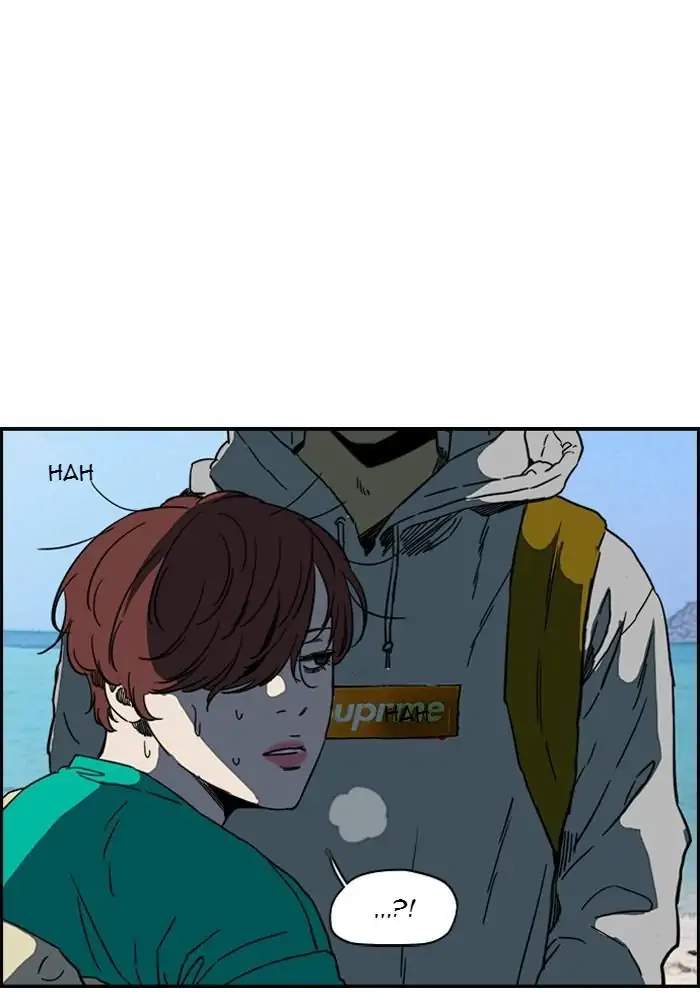 Wind Breaker