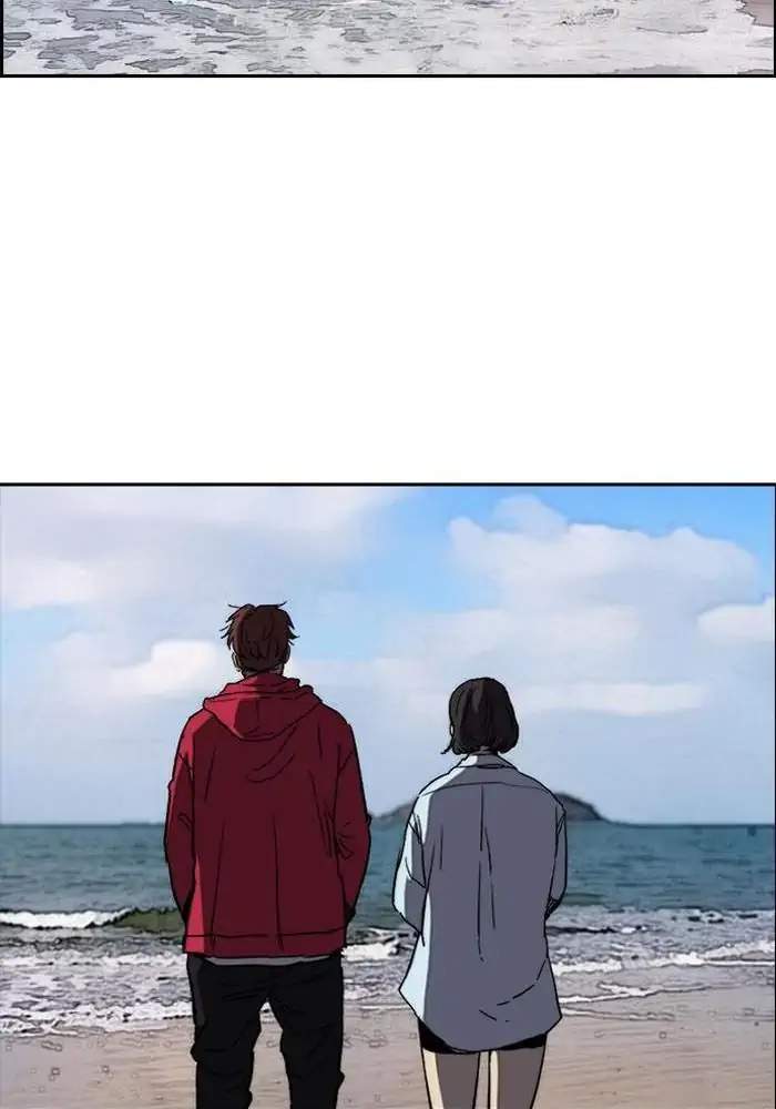 Wind Breaker