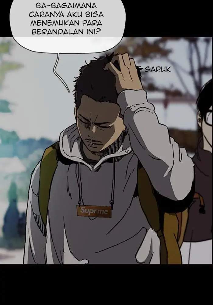 Wind Breaker