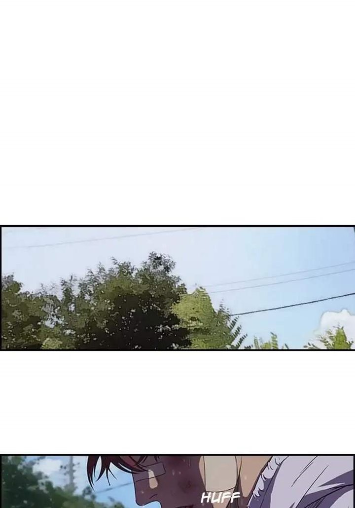 Wind Breaker