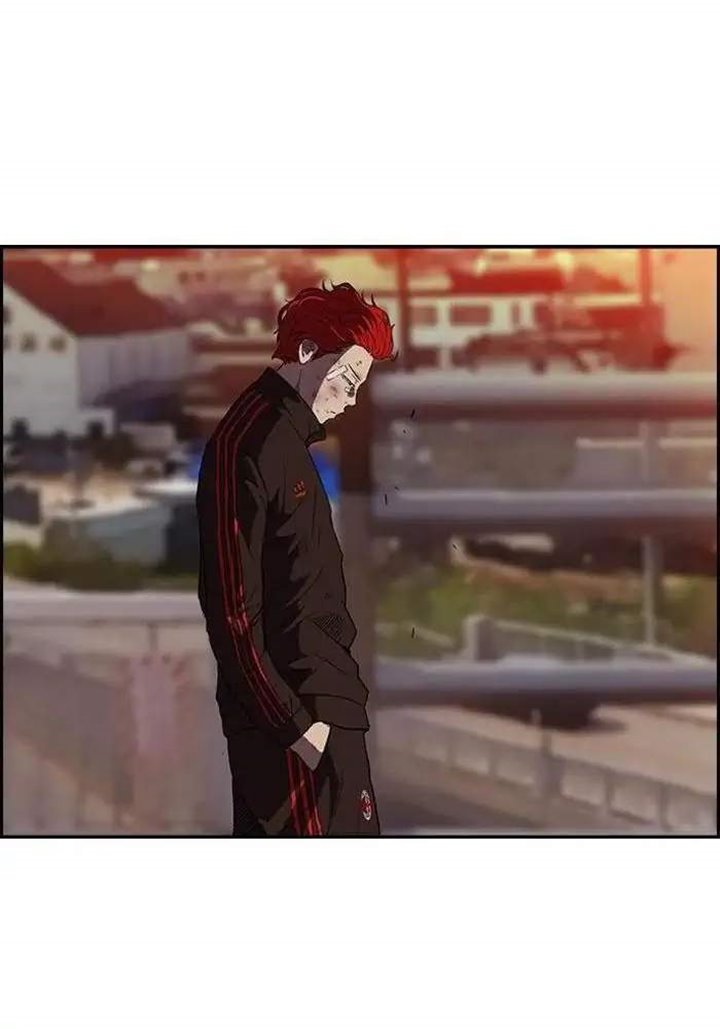 Wind Breaker