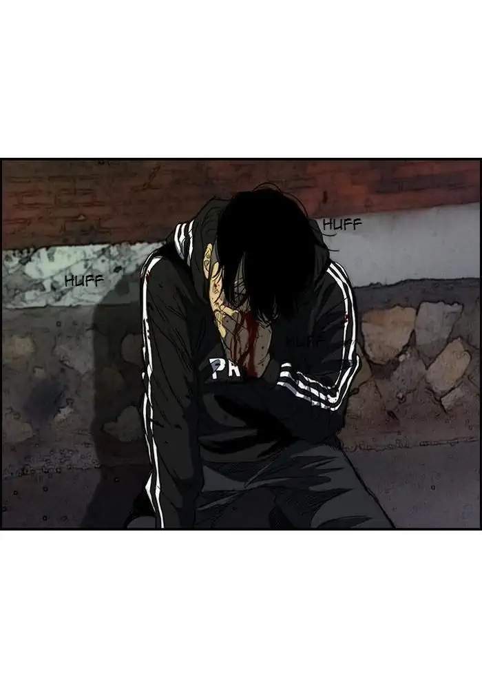 Wind Breaker