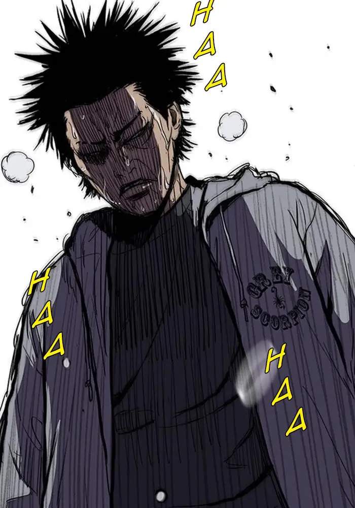 Wind Breaker