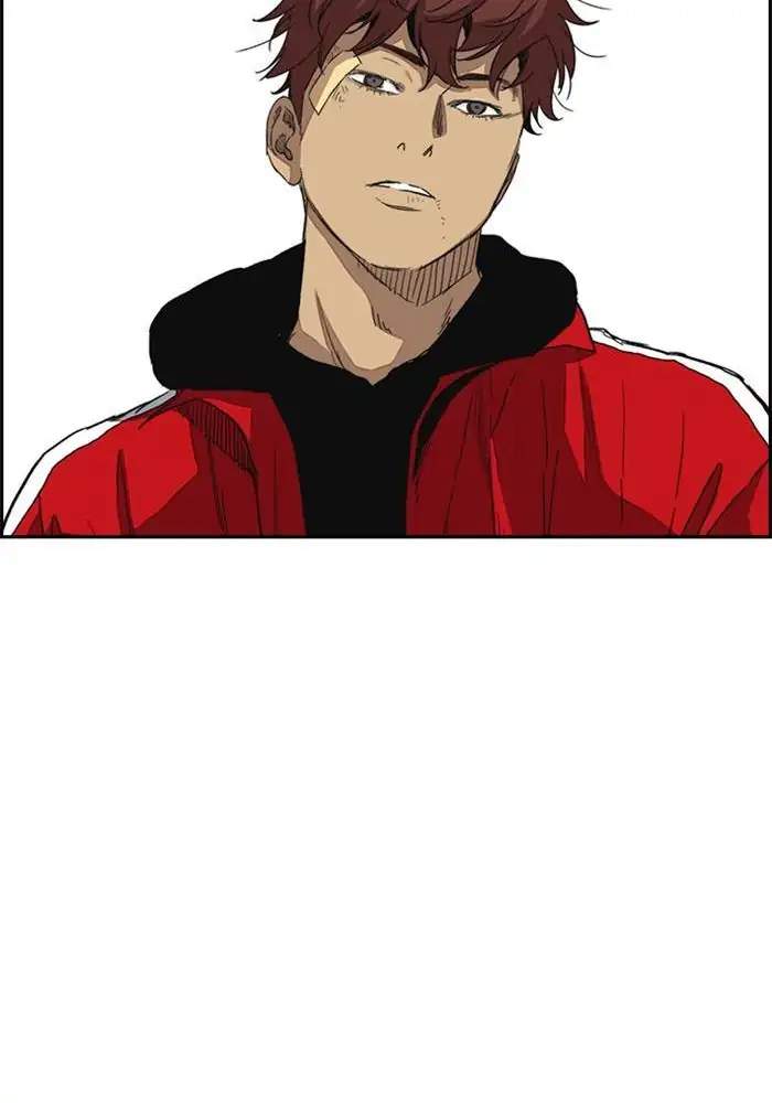 Wind Breaker