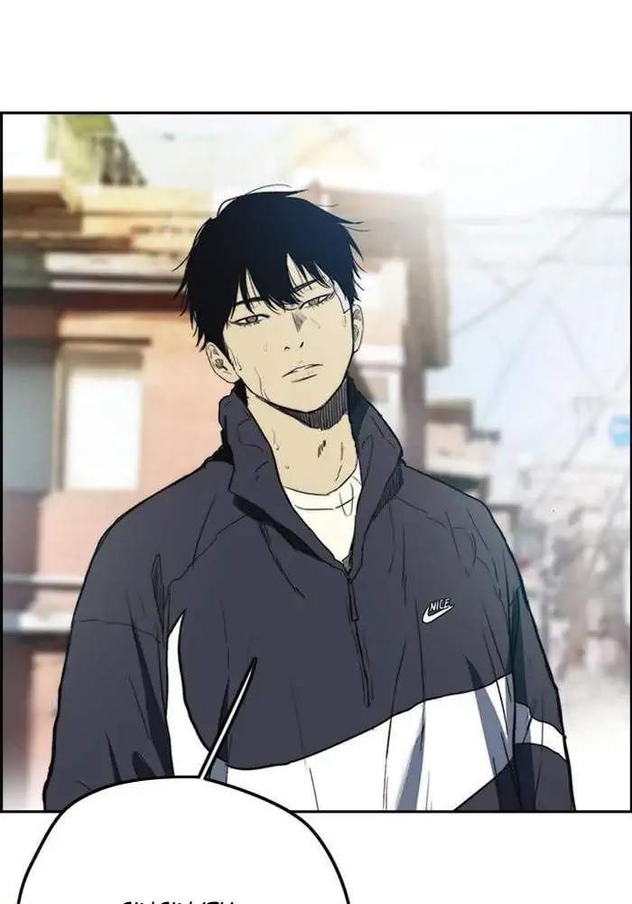 Wind Breaker