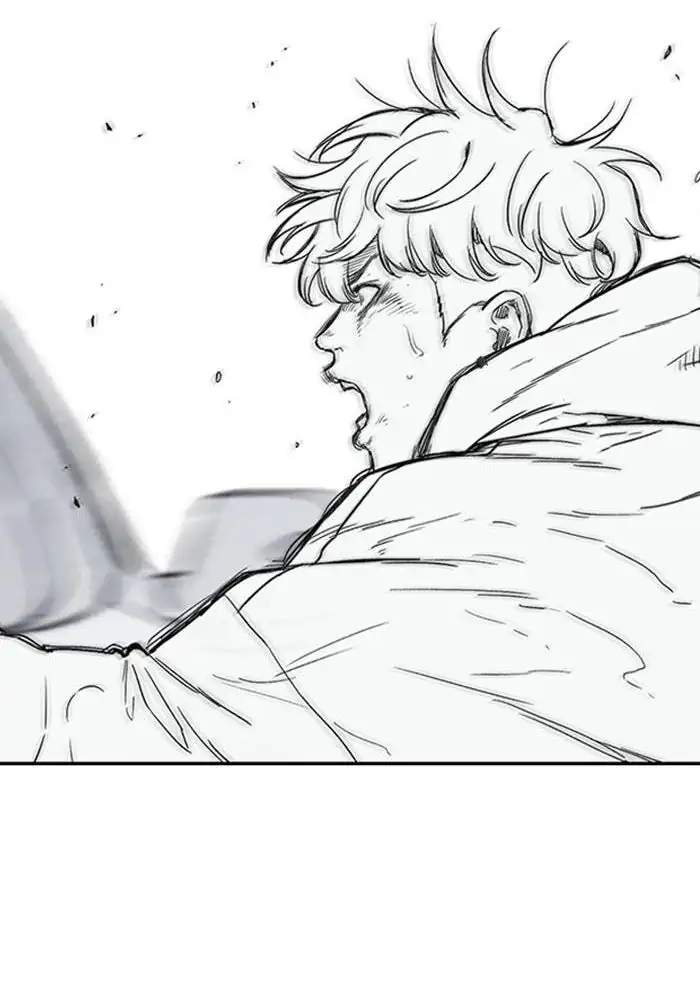 Wind Breaker