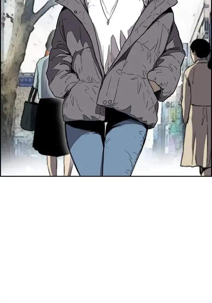 Wind Breaker
