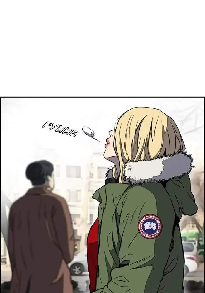 Wind Breaker