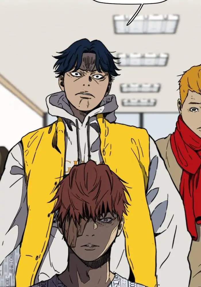 Wind Breaker