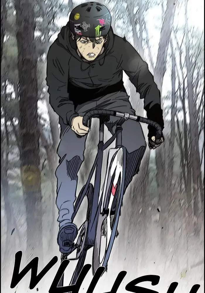 Wind Breaker