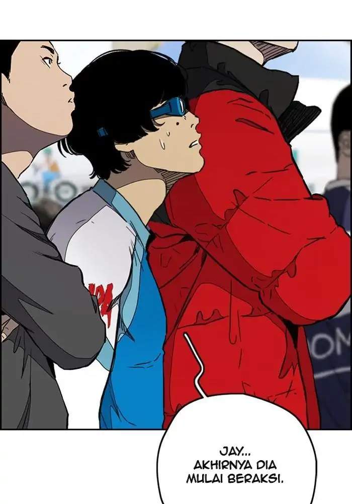 Wind Breaker