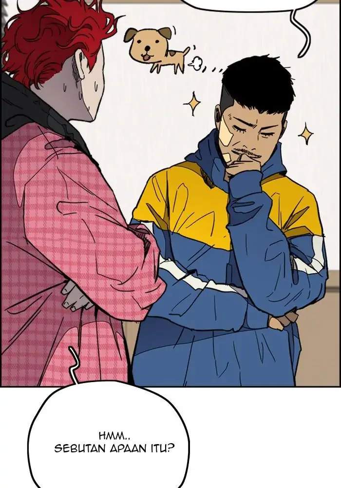 Wind Breaker