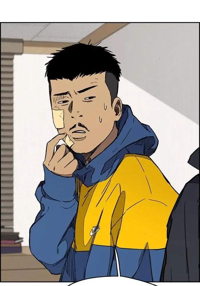 Wind Breaker