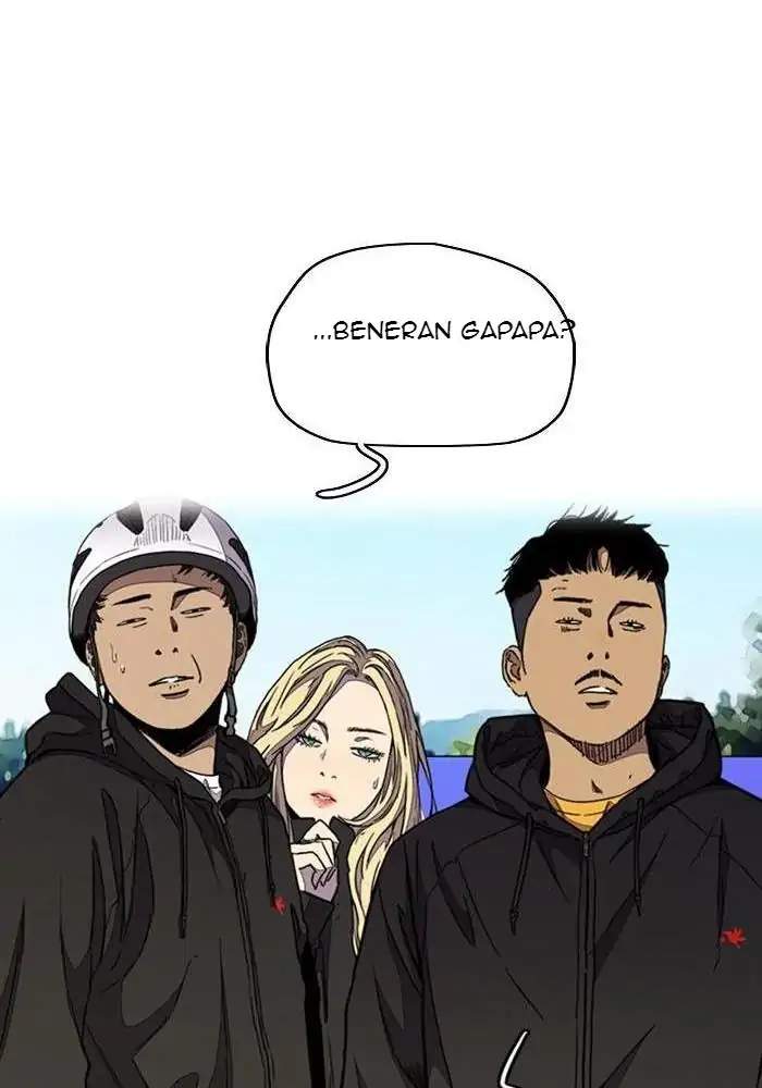 Wind Breaker