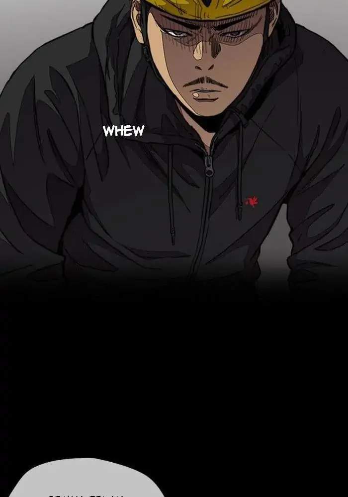 Wind Breaker