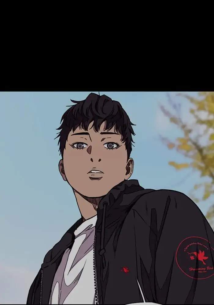 Wind Breaker