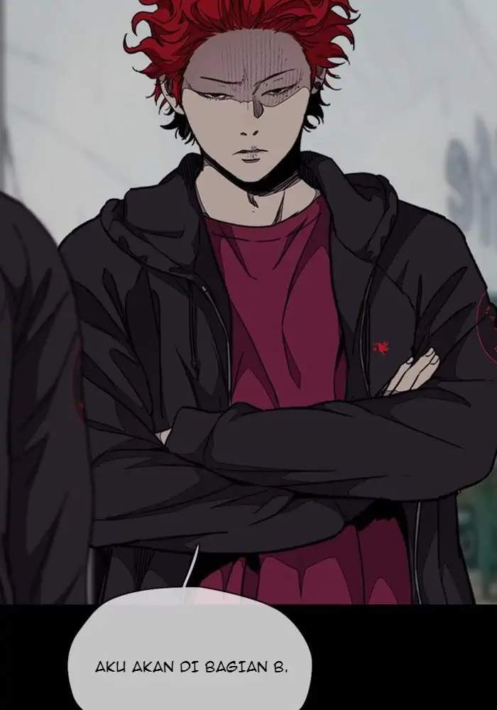 Wind Breaker