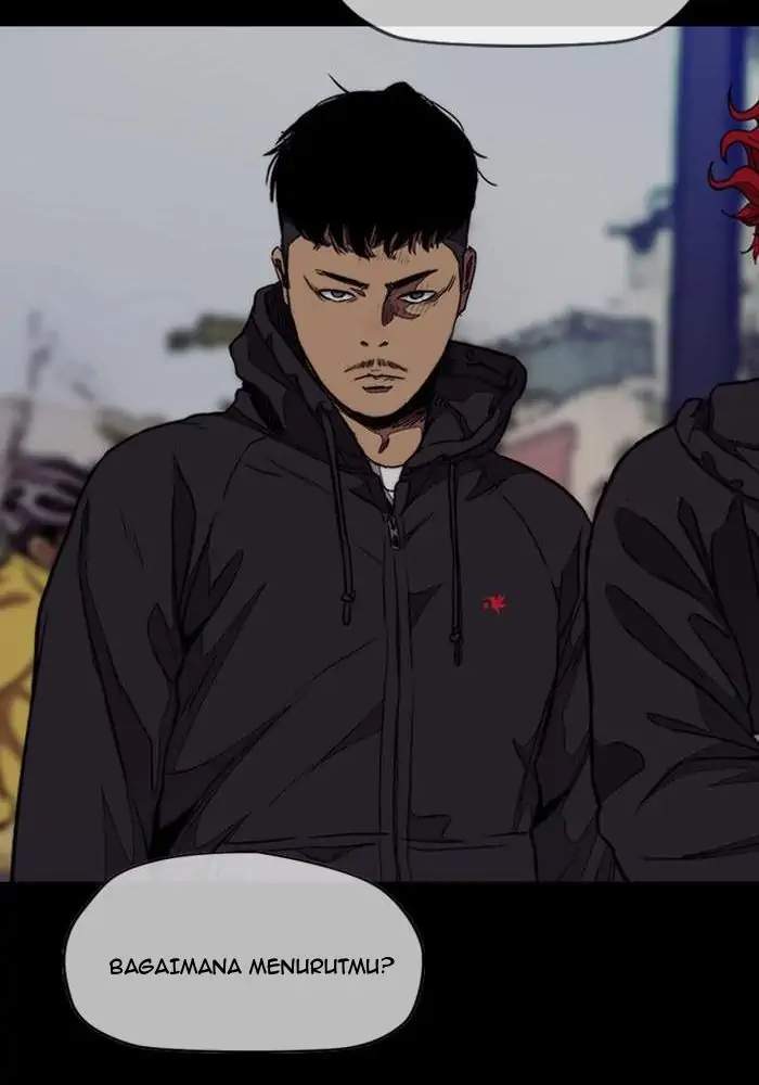 Wind Breaker