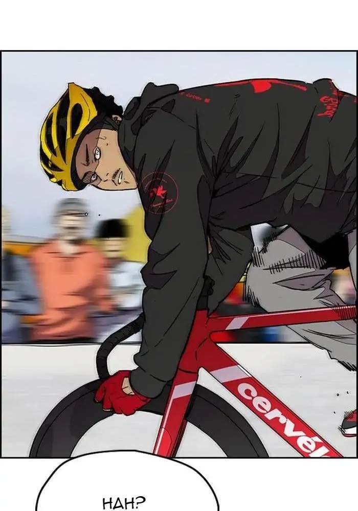 Wind Breaker