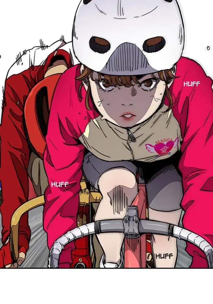 Wind Breaker