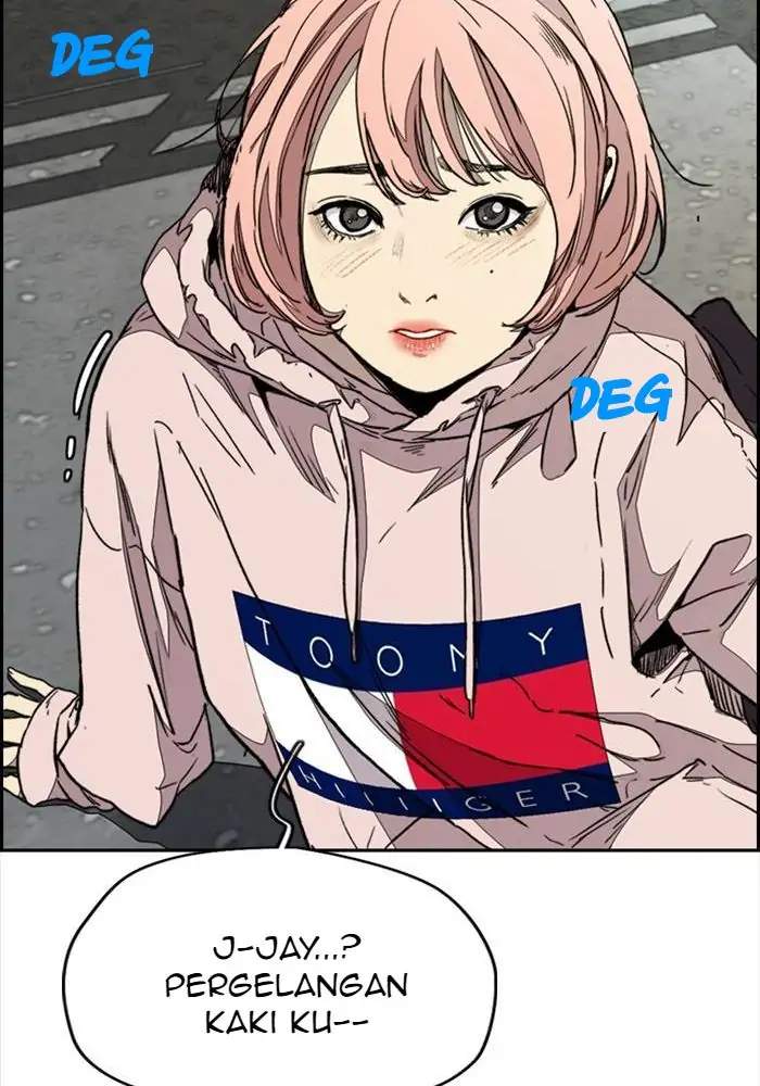 Wind Breaker