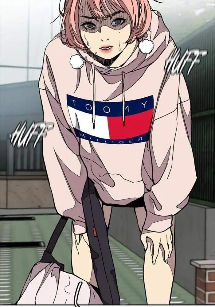 Wind Breaker