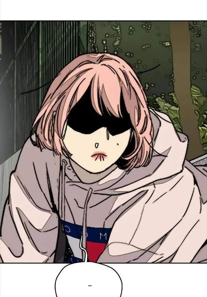 Wind Breaker